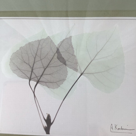 Albert Koetsier Signed Art Print Aspen Leaves Brushed Nickel Frame - Picture 6 of 12